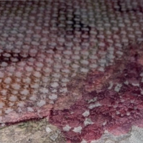 Alfred Dunner Top Pink Size Petite Small - Picture 8 of 8